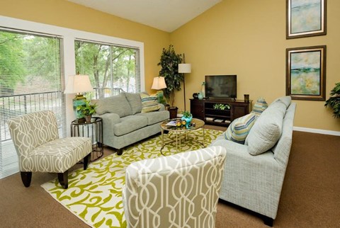 a living room with couches and chairs and a television