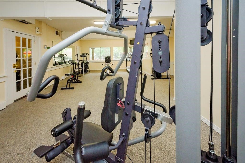 a gym with weights and cardio equipment in a home gym