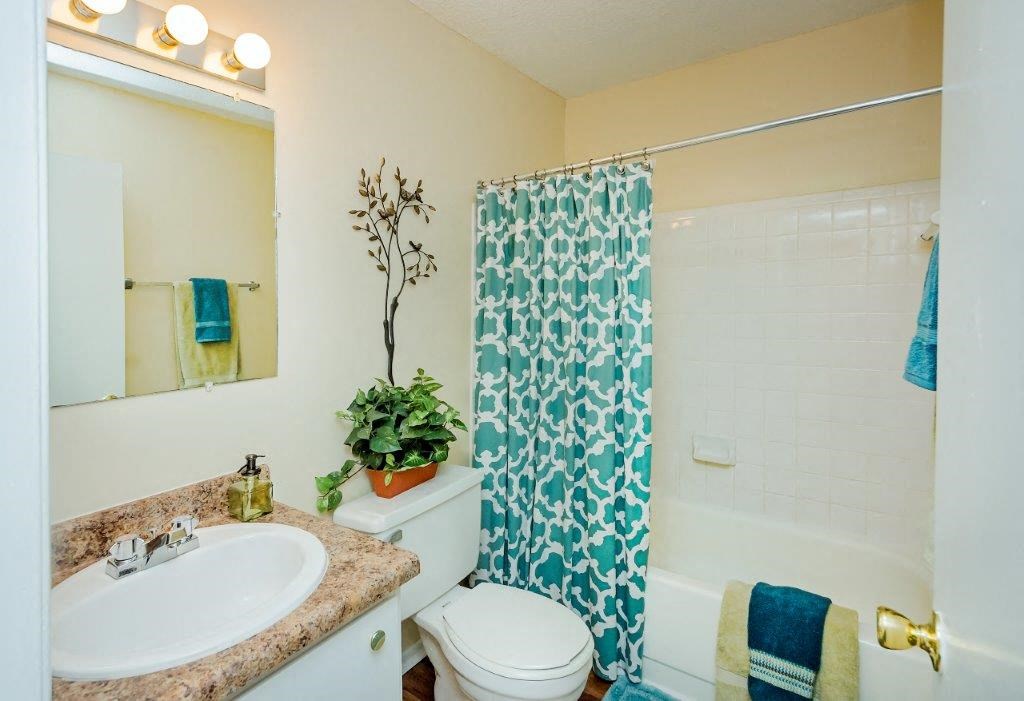 a bathroom with a sink toilet and a shower