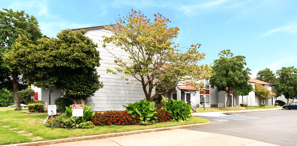 A tree with red flowers in front of a grey building.