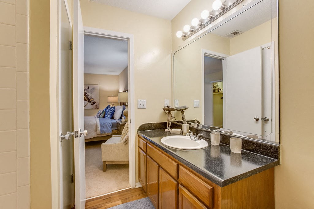 a bathroom with a sink and a mirror