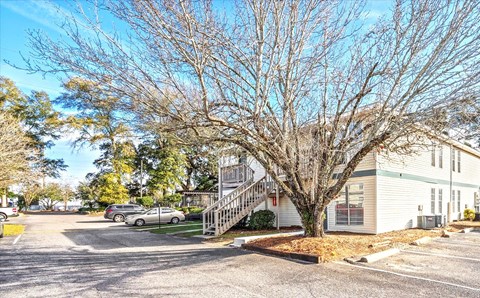 A tree with no leaves stands in front of a building.