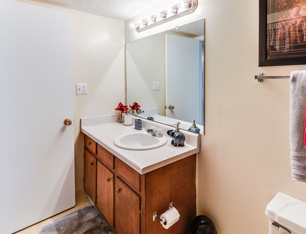 a bathroom with a sink and a mirror and a shower