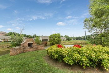 11608 Lanesborough Way 1-3 Beds Apartment for Rent - Photo Gallery 6