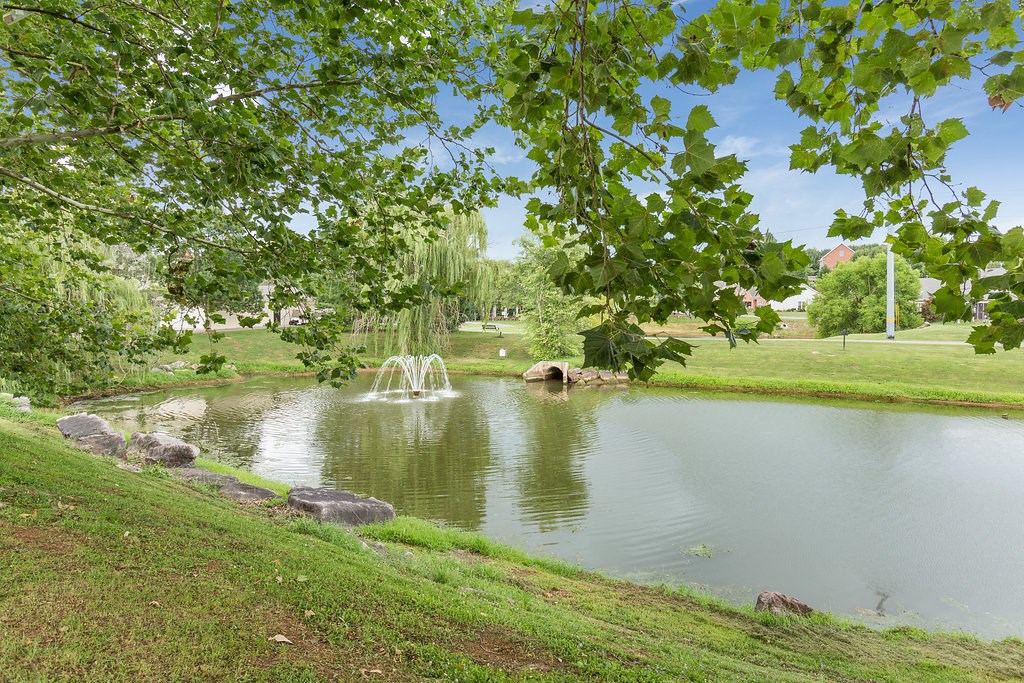 a fountain in the middle of a pond