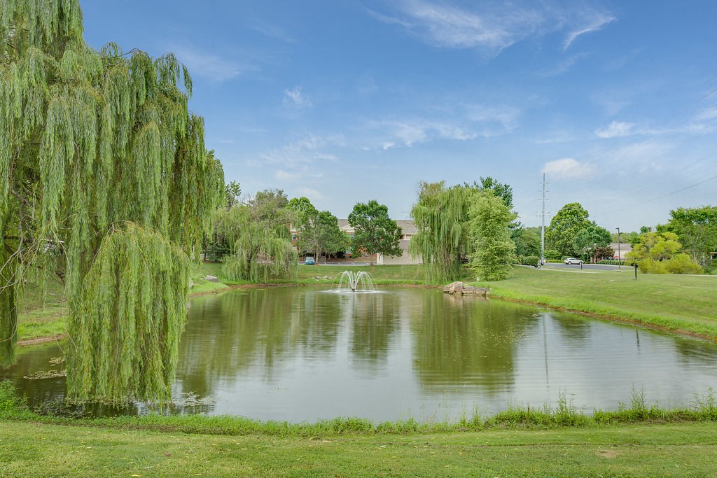 a pond with a fountain in the middle of it