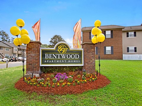 our apartments are located in the city