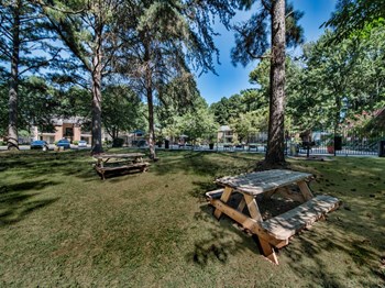 224 Royal Pines Drive 1-2 Beds Apartment for Rent - Photo Gallery 2