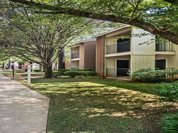 224 Royal Pines Drive 1-2 Beds Apartment for Rent - Photo Gallery 3