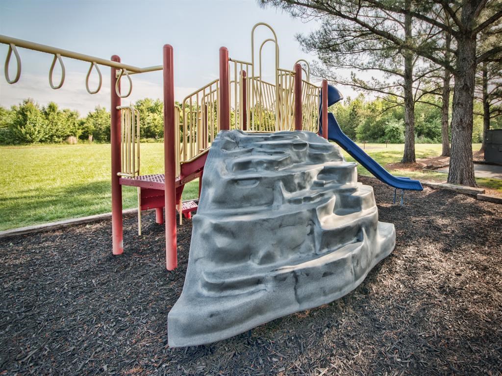 a playground with a large rock slide on it