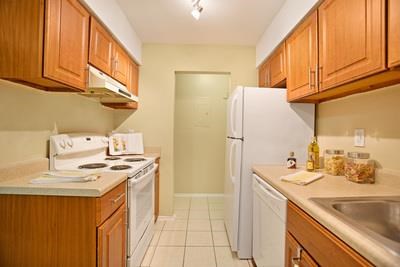 a kitchen with a stove and a refrigerator