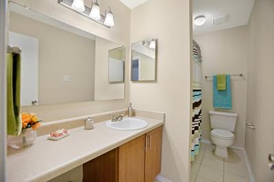 a bathroom with a sink and a toilet and a mirror