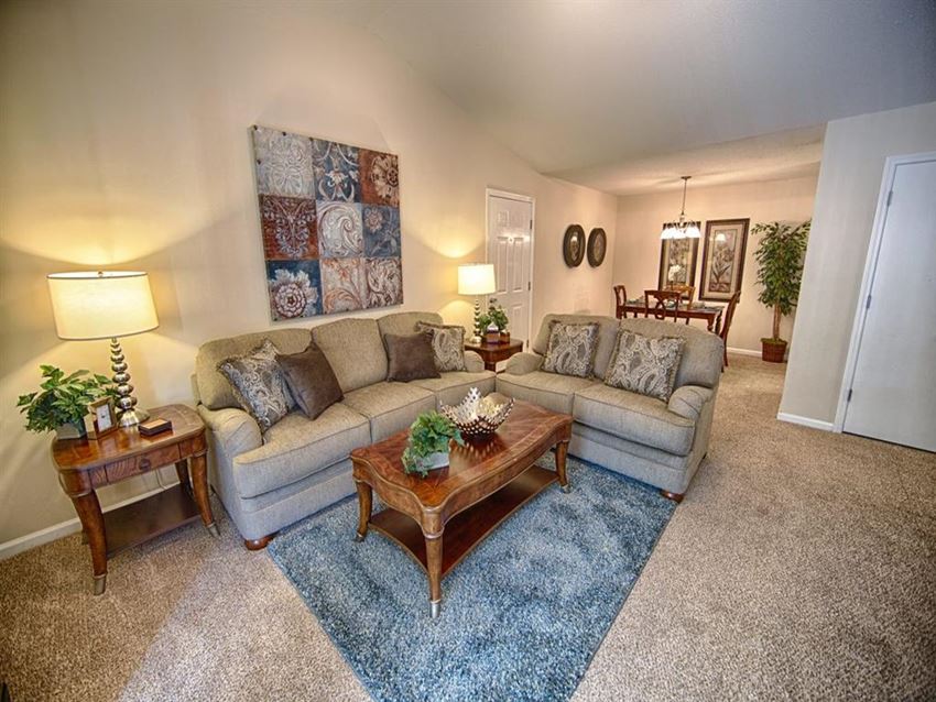 Mountain View Apartment Homes, Tuscaloosa, AL, Living room - Photo Gallery