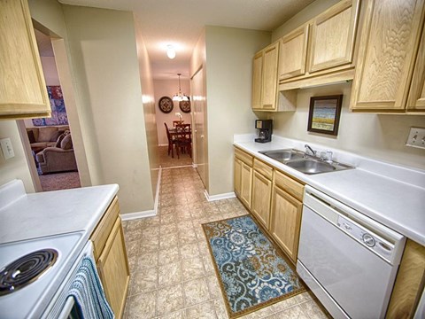 a kitchen with a sink and a dishwasher