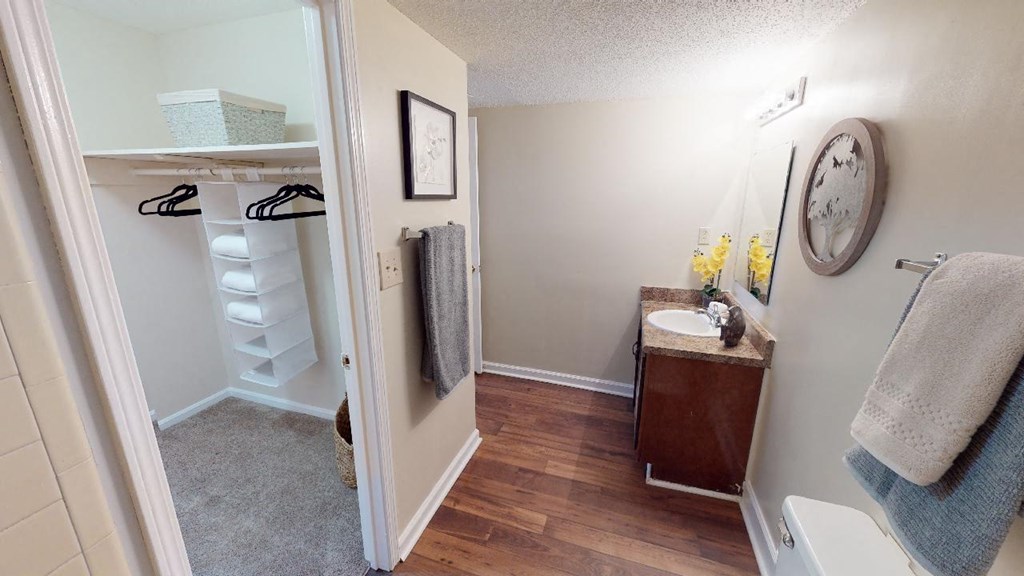 a bathroom with a sink and a mirror and a closet