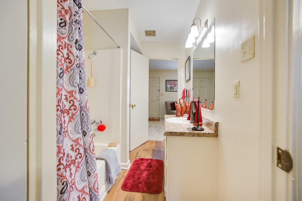a bathroom with a sink and a mirror and a shower curtain