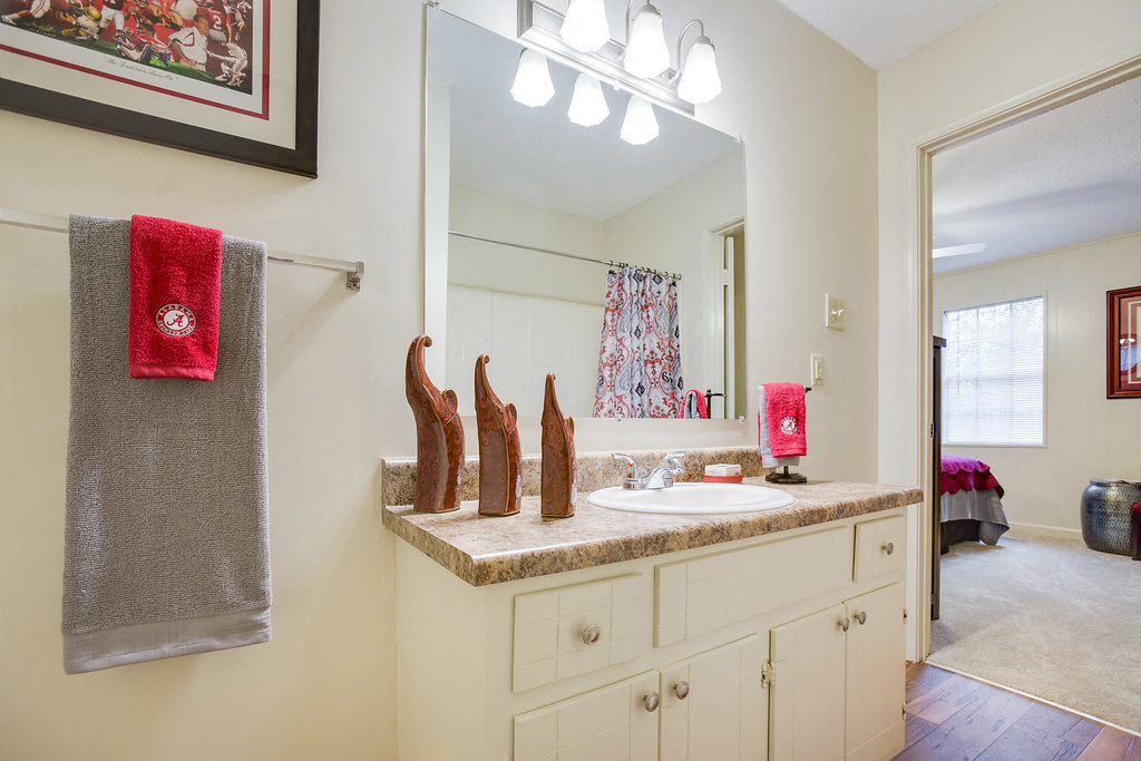 a bathroom with a sink and a mirror