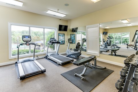 A gym with treadmills, elliptical machines, and dumbbells.