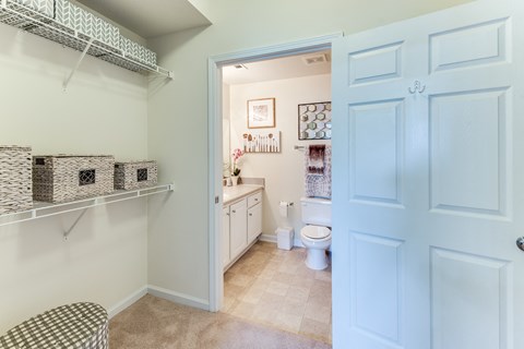 a bathroom with a toilet and a sink and a closet