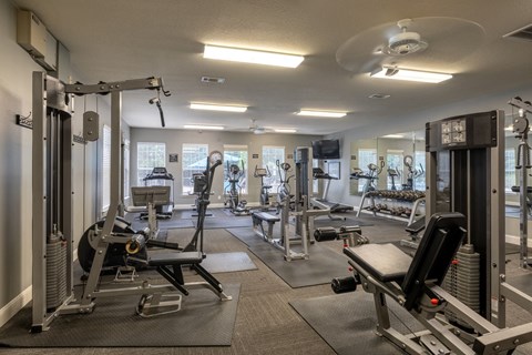 A gym with a variety of equipment including a rowing machine, a bench press, and a squat rack.