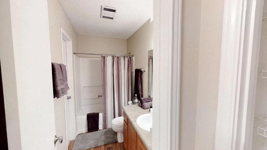 a bathroom with a sink and a toilet and a shower