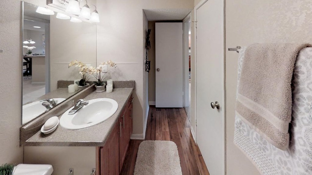 a bathroom with a sink and a mirror