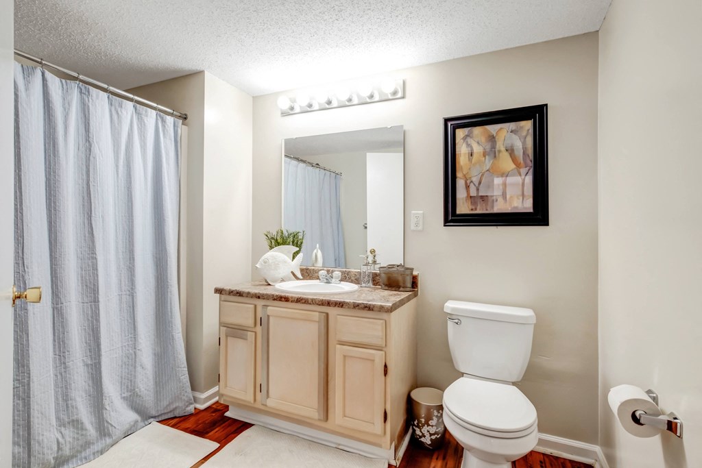 A bathroom with a toilet, sink, and shower curtain.