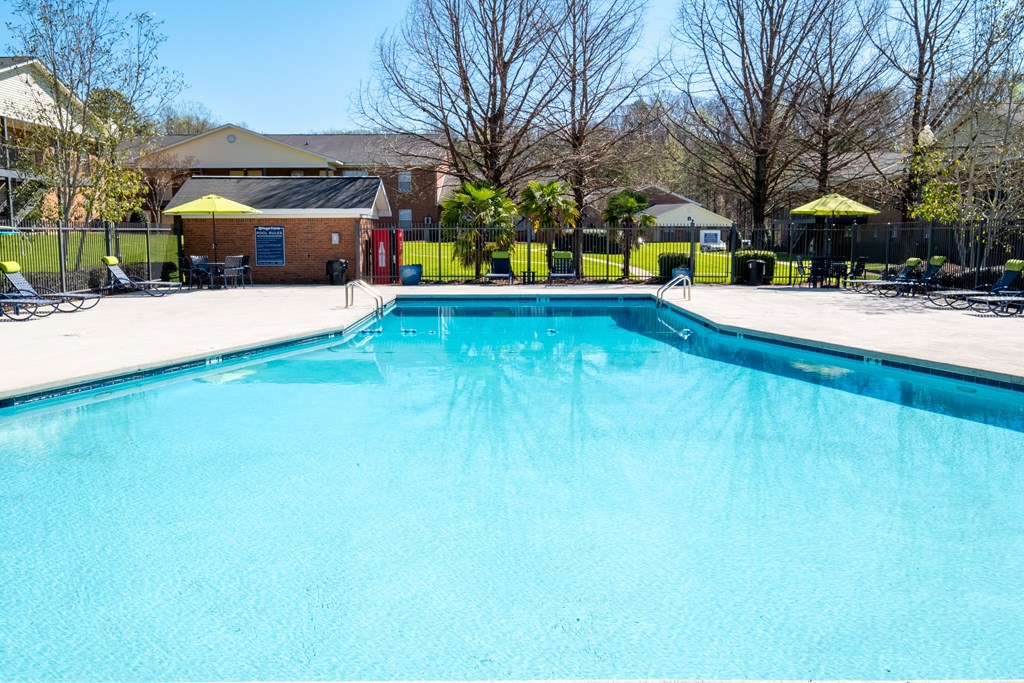 A large blue swimming pool in a sunny outdoor setting.