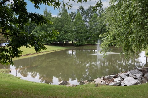 a small pond with a fountain in the middle of it