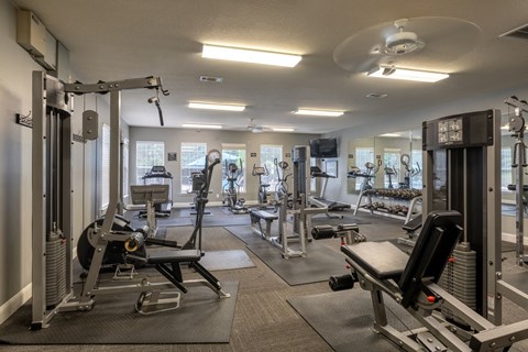 a gym with cardio equipment and weights on the floor and a bed