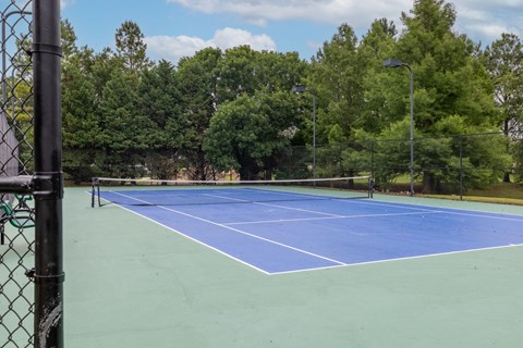 a blue tennis court with a fence around it and trees