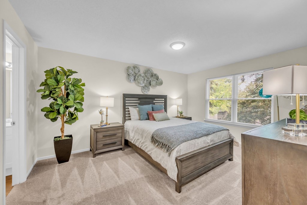 A bedroom with a large bed, a potted plant, and a nightstand with a lamp.