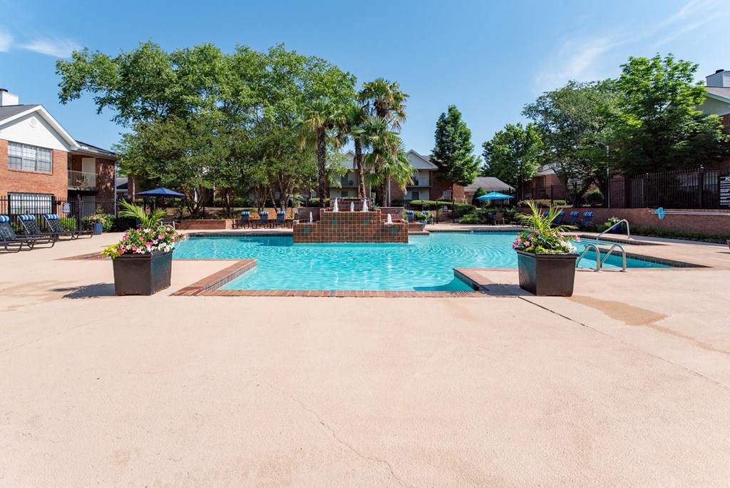 our apartments have a large swimming pool with trees