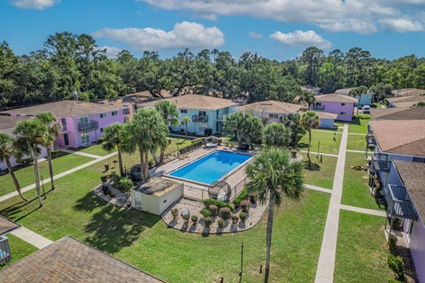 A swimming pool surrounded by palm trees and a grassy area.