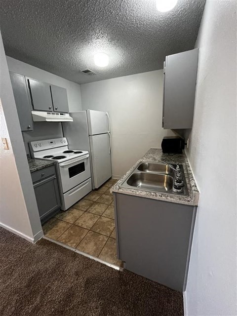 a kitchen with a sink and a stove and a refrigerator