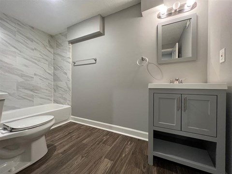 a bathroom with a toilet sink and a mirror