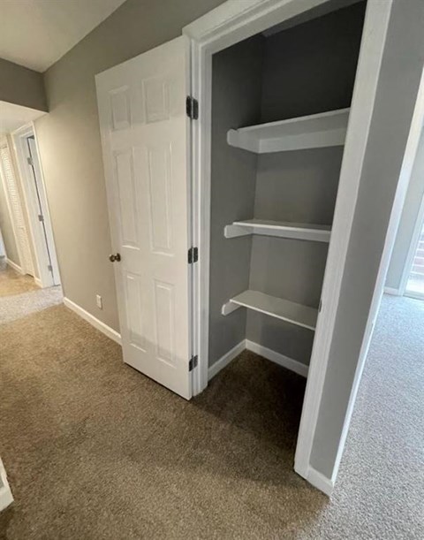 a closet with shelves and a white door