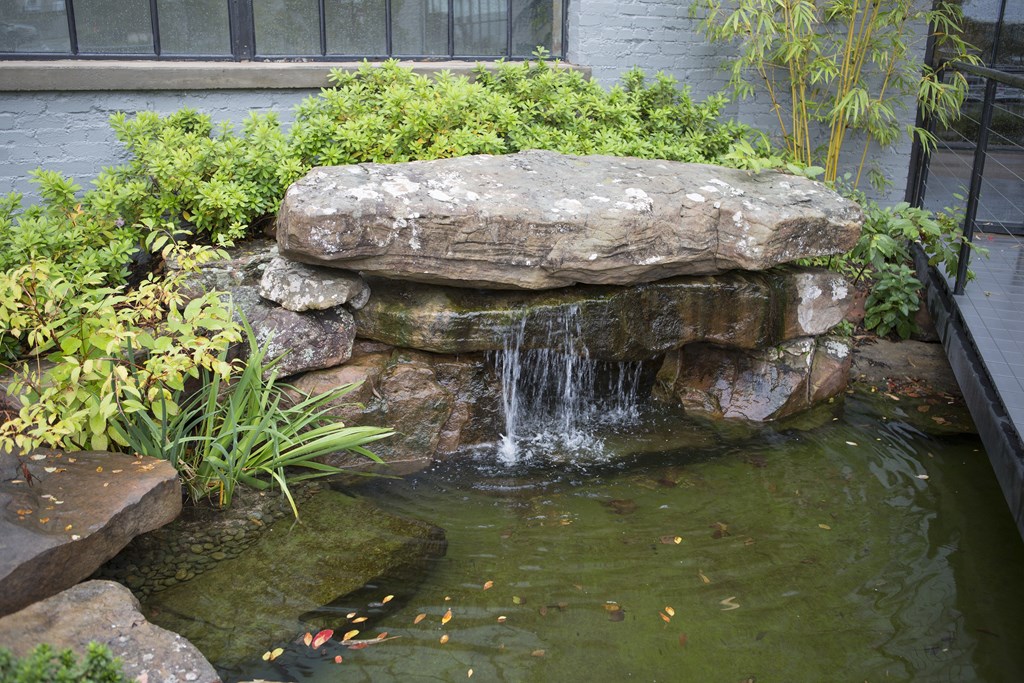 A small waterfall in a garden.