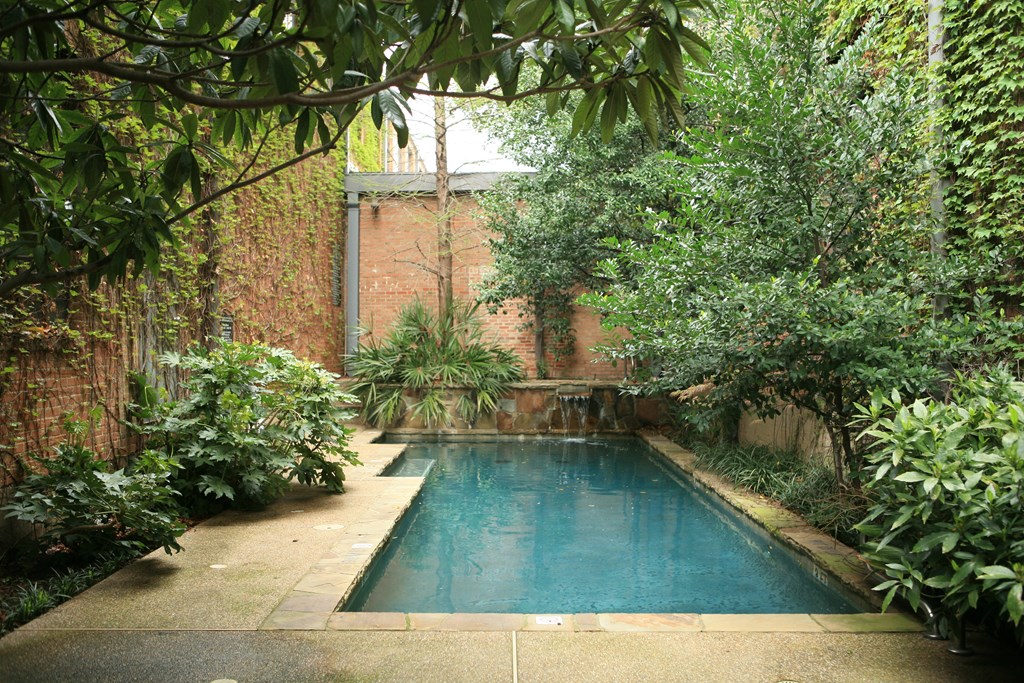 A small pool surrounded by green plants.