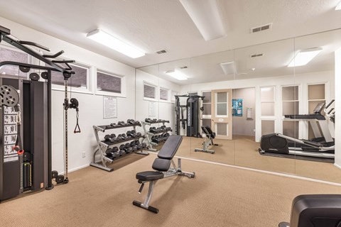 A gym with a variety of equipment including weights, a bench, and a treadmill at The Aspens Riverside, Riverside, 92504