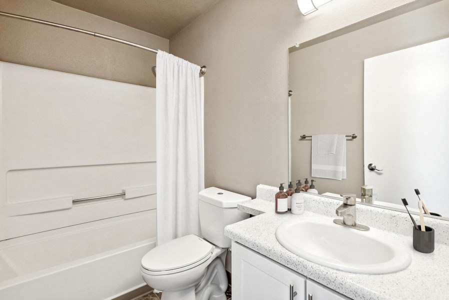 a bathroom with a sink and a toilet and a shower