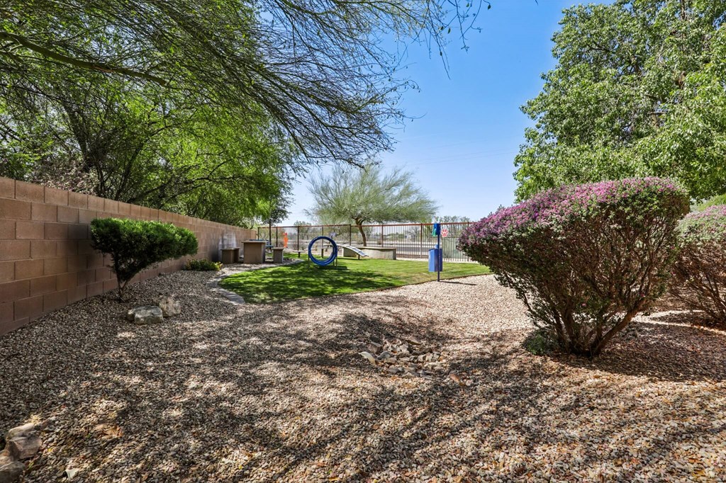 Dog park at Galeria del Rio