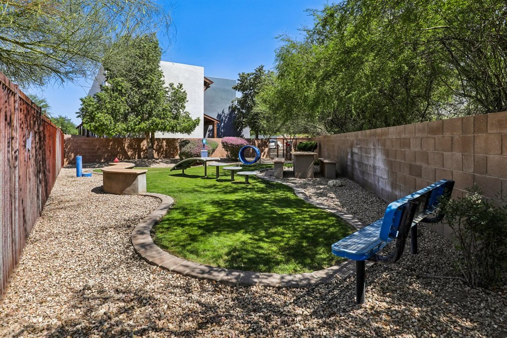Dog park with a blue bench and a small grassy area.