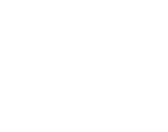 Bridge Founders Group, LLC Company