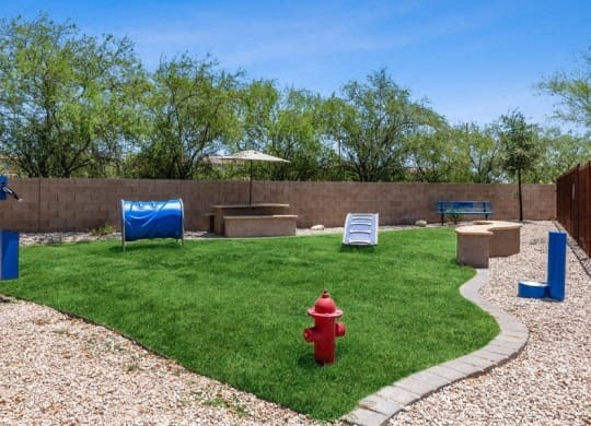 a backyard with a fire hydrant on the grass