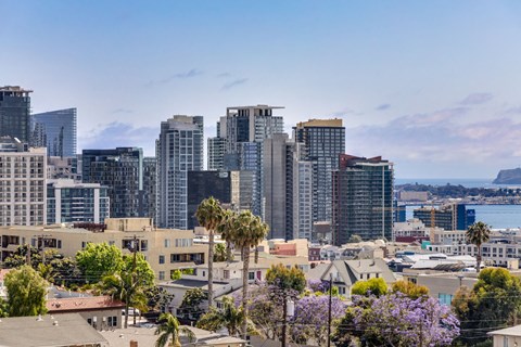 the city with tall buildings and palm trees