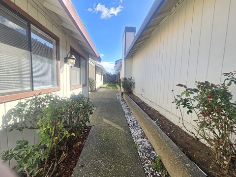 A narrow pathway between two white buildings with green plants on the sides.