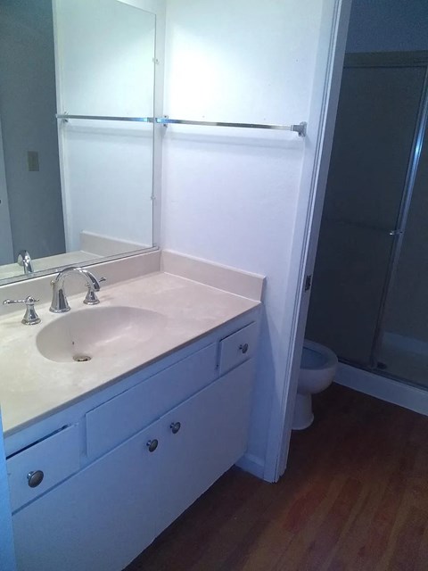 a bathroom with a sink and a shower