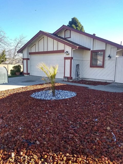 a front yard with a palm tree in front of a house