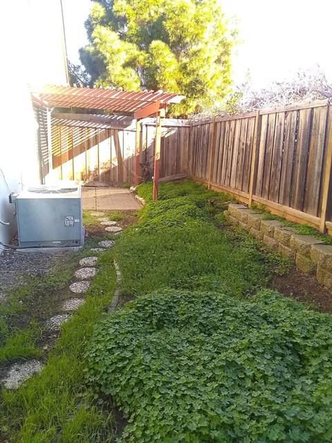 a backyard with a garbage can and a wooden fence